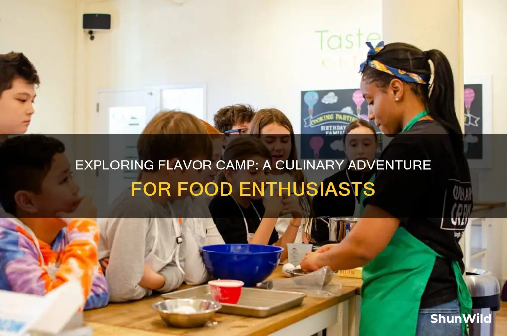 what is flavor camp