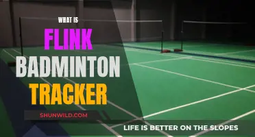 Revolutionizing Badminton With Flink Tracker