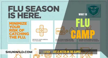 Understanding Flu Camp: A Comprehensive Guide to Seasonal Flu Preparedness