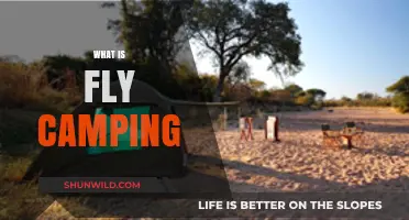 Exploring Fly Camping: Lightweight, Adventurous Outdoor Sleeping Basics