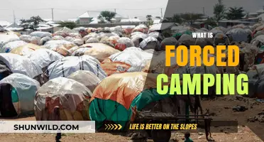 Understanding Forced Camping: Definition, Causes, and Real-World Implications
