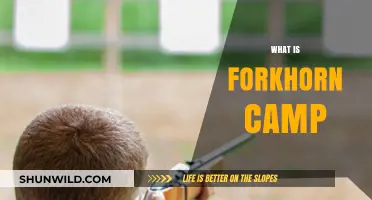 Exploring Forkhorn Camp: History, Activities, and Unique Features Revealed