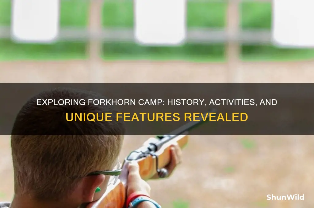 what is forkhorn camp