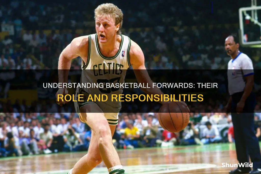 what is forward in basketball