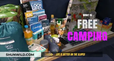 Exploring the Basics of Free Camping: Tips and Essentials