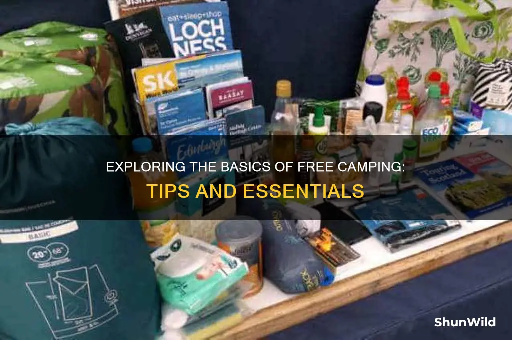 what is free camping