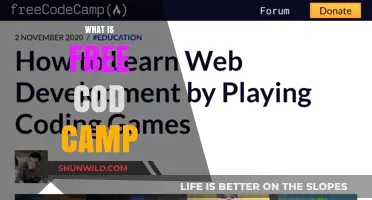 Unveiling FreeCodeCamp: A Beginner's Guide to Coding for Free