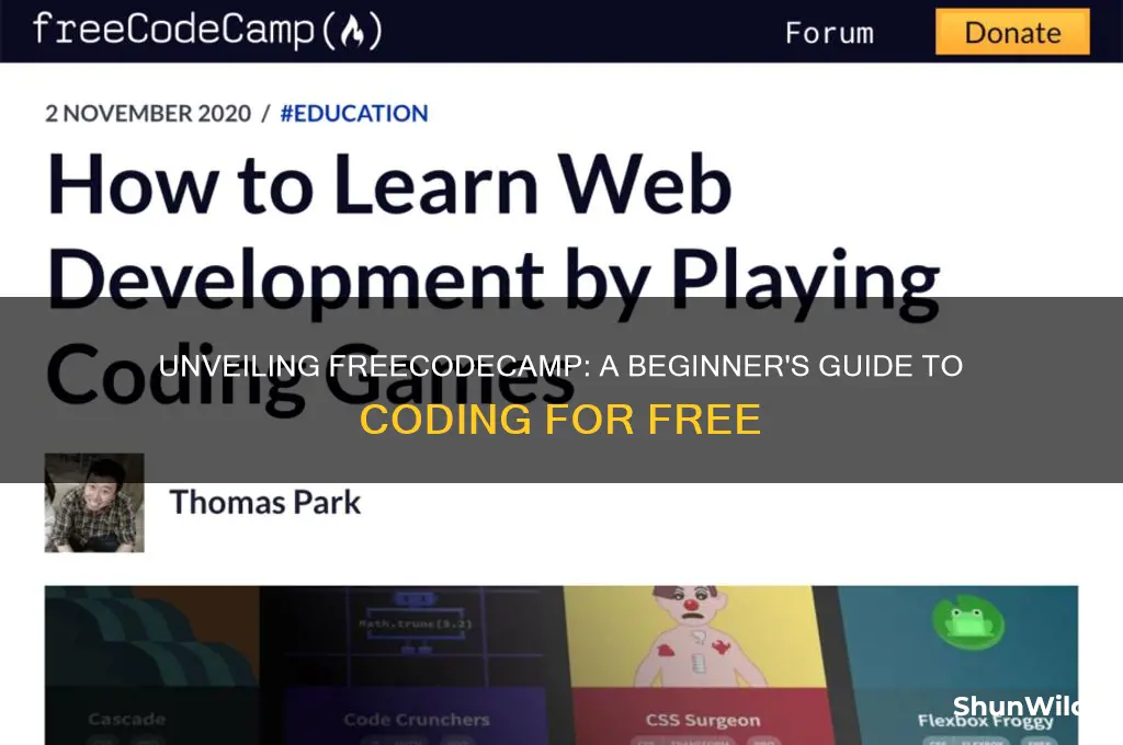 what is free cod camp