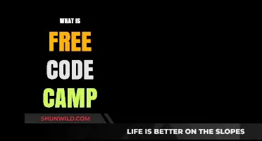Discover Free Code Camp: Learn, Build, and Code for Free