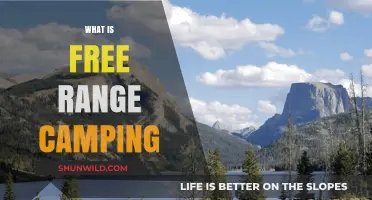 Exploring Nature's Freedom: Understanding Free Range Camping Adventures