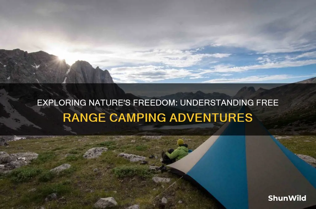 what is free range camping