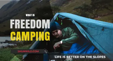 Exploring Freedom Camping: What It Means and How to Do It Right