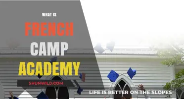 Exploring French Camp Academy: History, Mission, and Impact Revealed