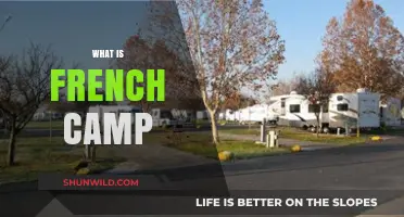 Exploring French Camp: History, Culture, and Unique Experiences Revealed