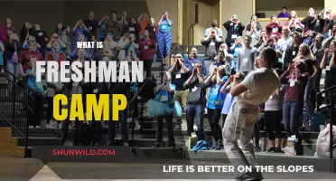 Freshman Camp: Unlocking College Life, Friendships, and New Beginnings