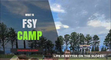 Discovering FSY Camp: A Transformative Youth Experience Explained