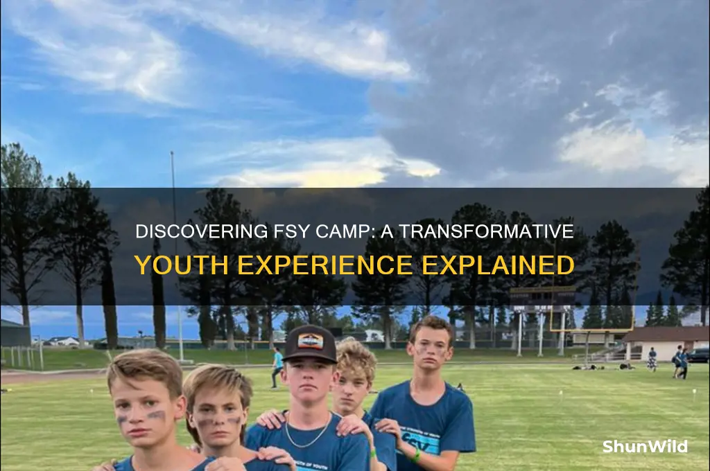what is fsy camp