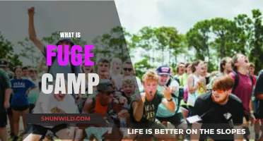 Exploring Fuge Camp: A Life-Changing Christian Youth Experience