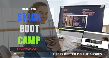 Mastering Full Stack Development: Exploring the Benefits of Boot Camps
