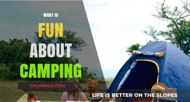 Camping Bliss: Discovering Nature's Joys and Unforgettable Outdoor Adventures