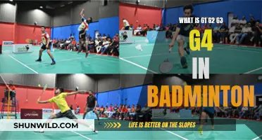 Badminton's G1, G2, G3, G4: Understanding Tournament Grades