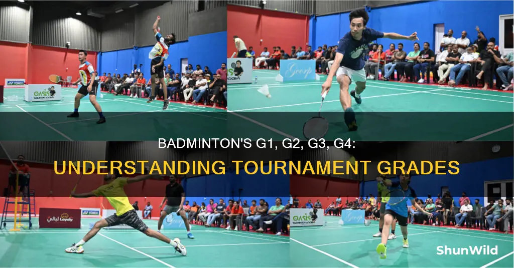 what is g1 g2 g3 g4 in badminton