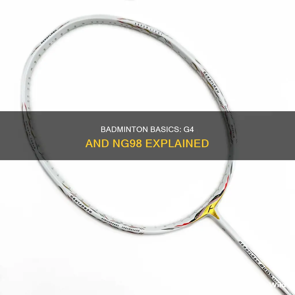 what is g4 with ng98 in badminton