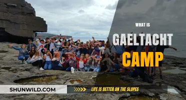 Exploring Gaeltacht Camps: Immerse in Irish Language and Culture