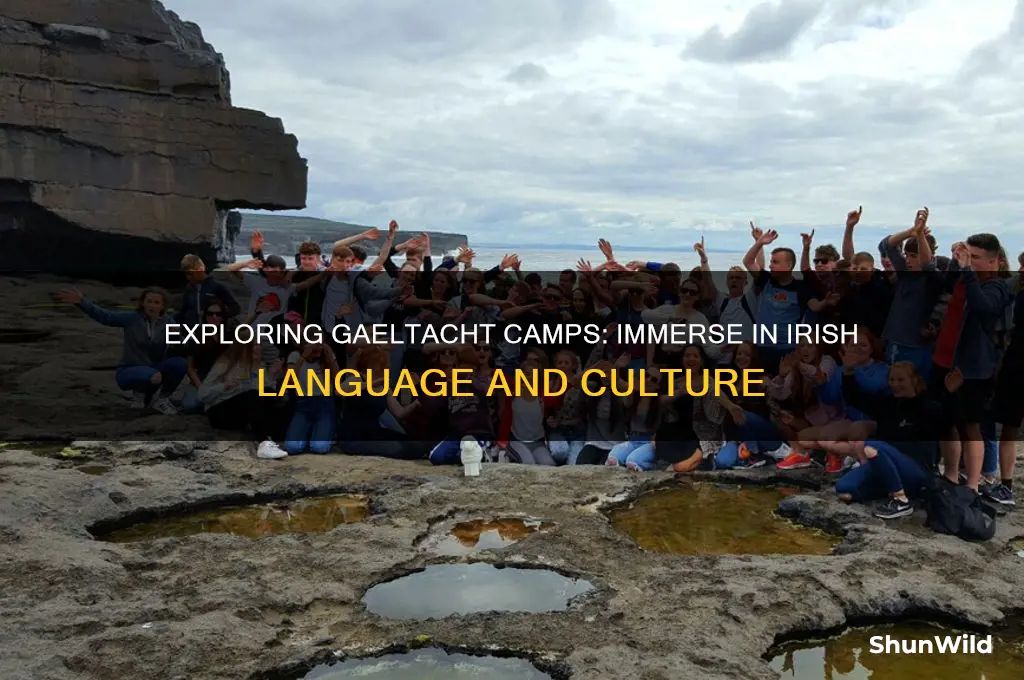 what is gaeltacht camp
