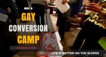 Understanding Gay Conversion Camps: Origins, Impact, and Ongoing Controversy