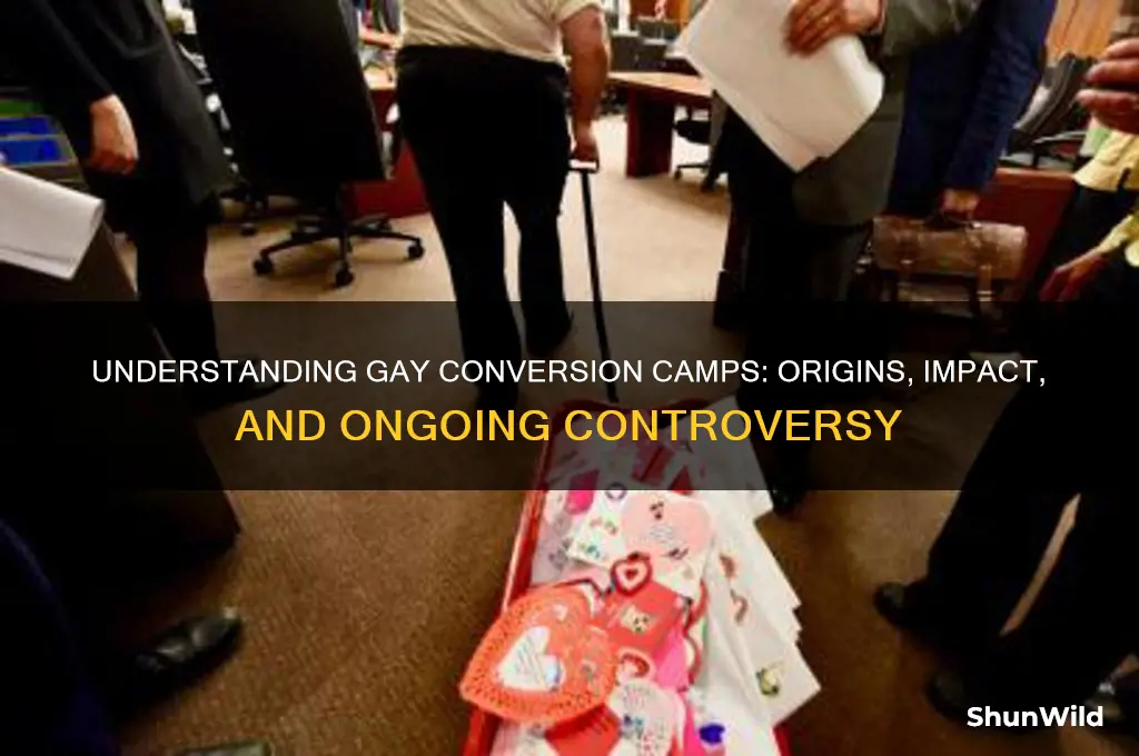 what is gay conversion camp