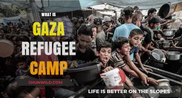 Understanding Gaza Refugee Camps: History, Life, and Challenges Explained