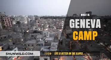 Understanding Geneva Camp: History, Significance, and Current Situation Explained