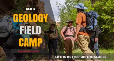 Exploring Geology Field Camp: Hands-On Learning in Earth Sciences