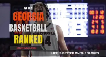 Georgia Hoops: Rising or Falling? Current Rankings Revealed