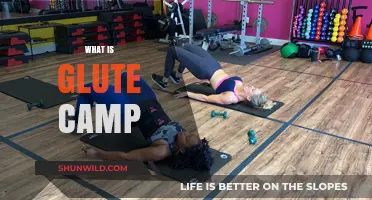 Discover Glute Camp: Transform Your Lower Body with Targeted Workouts