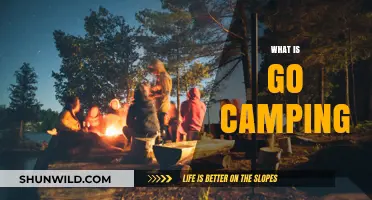 Exploring the Great Outdoors: What is Go Camping and Why Try It?