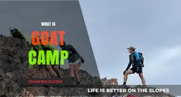 Discover the Adventure: What is Goat Camp and Why It's Unique