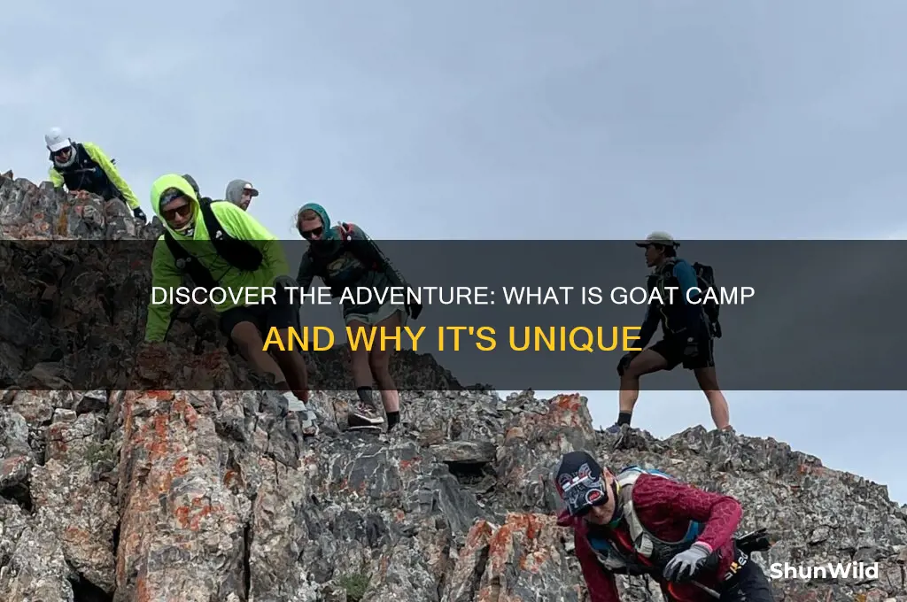 what is goat camp
