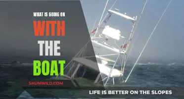 The Mystery of the Boat: What's Happening?