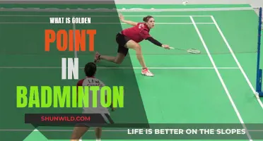 Golden Point Rule: Understanding Badminton's Tie-breaker
