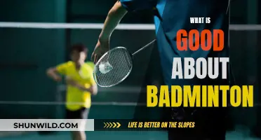 Badminton: Fun, Fitness, and Friendship