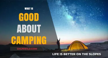Camping Bliss: Nature, Adventure, and Relaxation Await Under the Stars