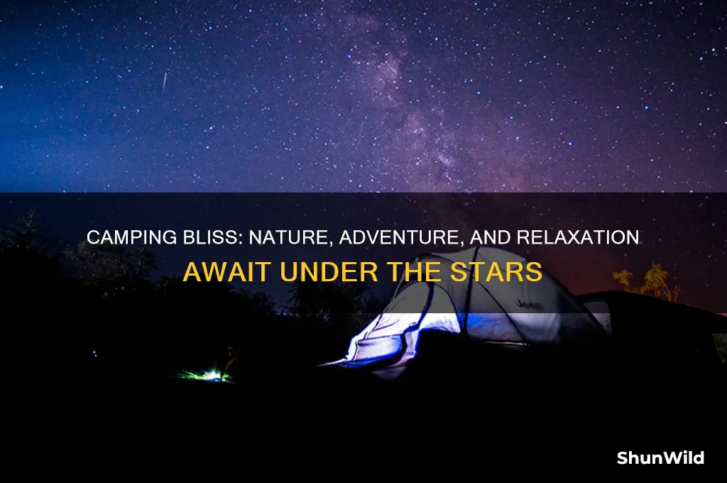 what is good about camping