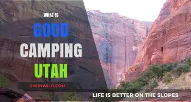 Discover Utah's Best Camping Spots: A Guide to Outdoor Adventures
