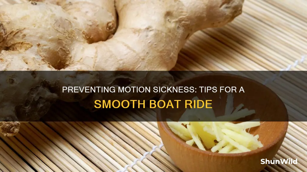 what is good for motion sickness on a boat