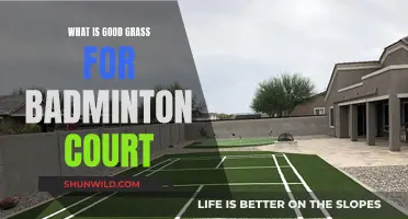 Choosing the Perfect Grass for Badminton Courts