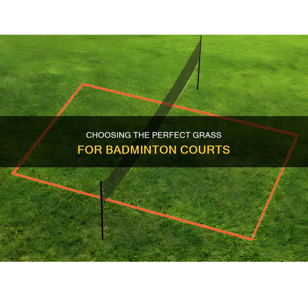what is good grass for badminton court