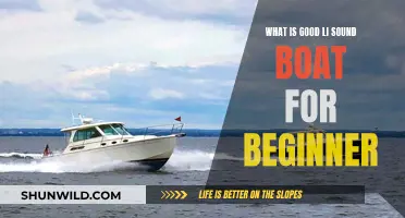 Best Li-ion Sound Boats for Beginners: Where to Start?