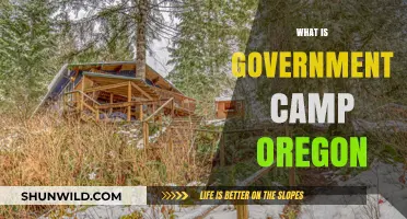 Exploring Government Camp, Oregon: A Mountain Retreat on Mount Hood